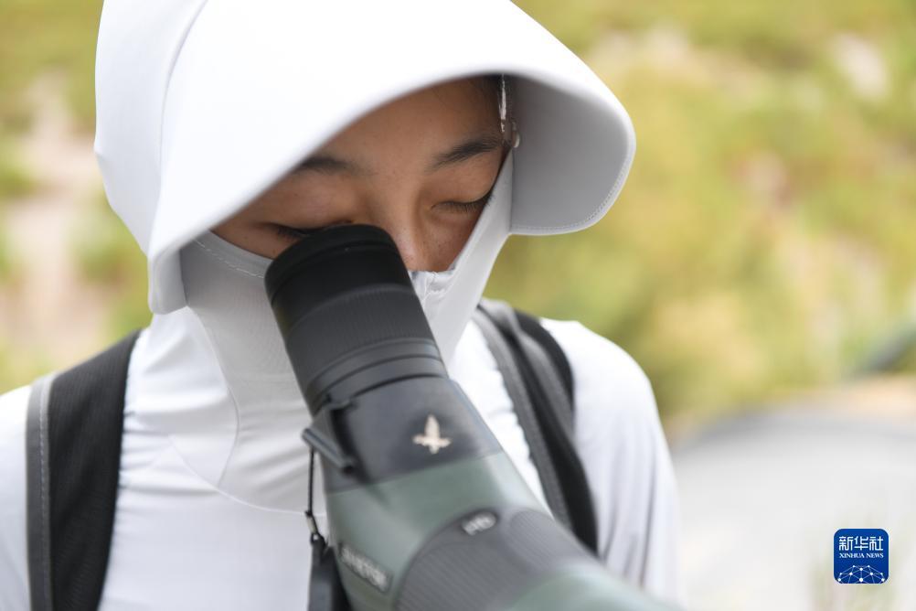 九线拉王怎么看